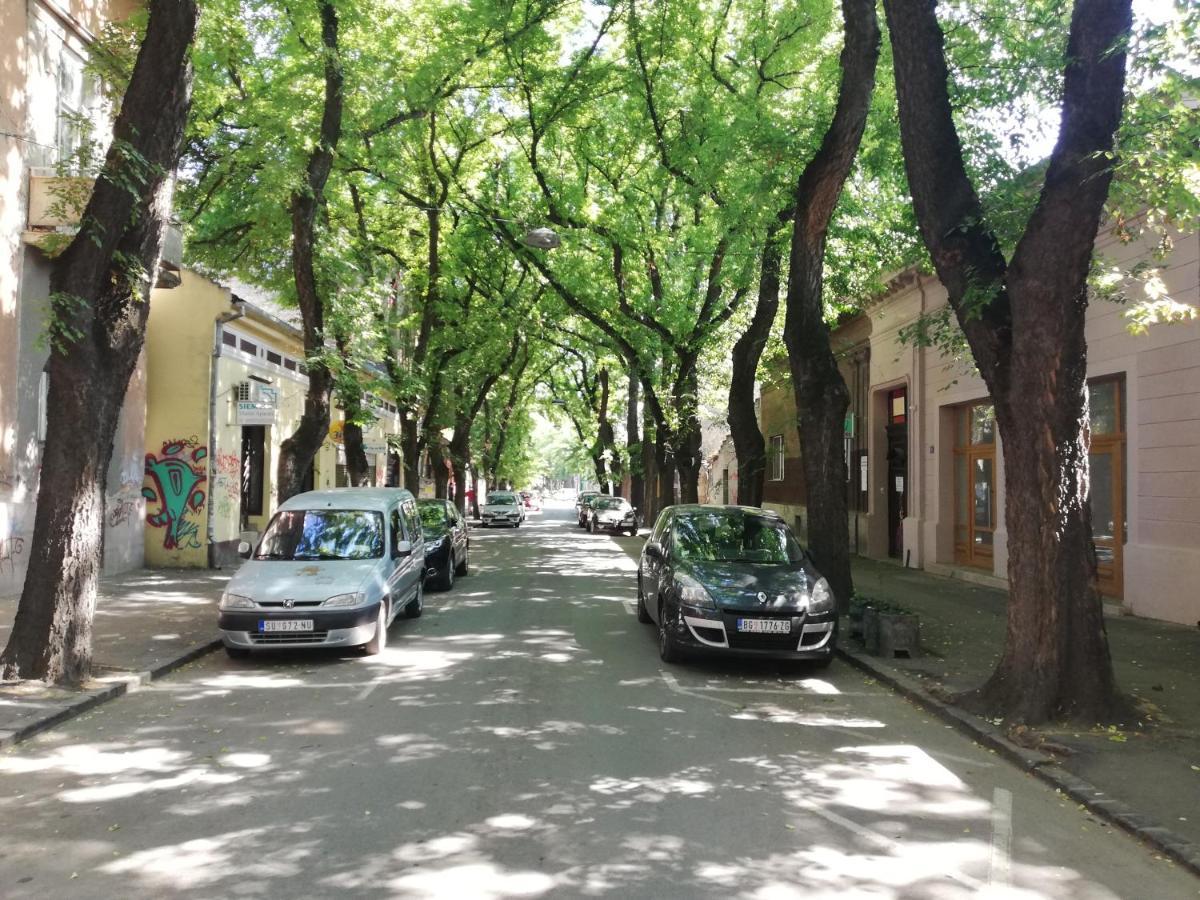 Apartman Park Subotica Exteriér fotografie